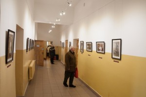  DSC5351